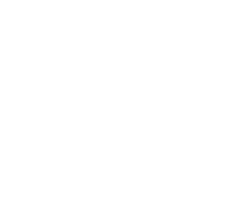 Logo-NS-2025-web blanco